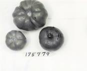 Click for 1 image(s) for this accession. FRUIT